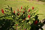 P_2007-12-14 14-51-23_1084